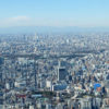 東京は外国人観光客が訪れやすい街？英語対応は進んでる？